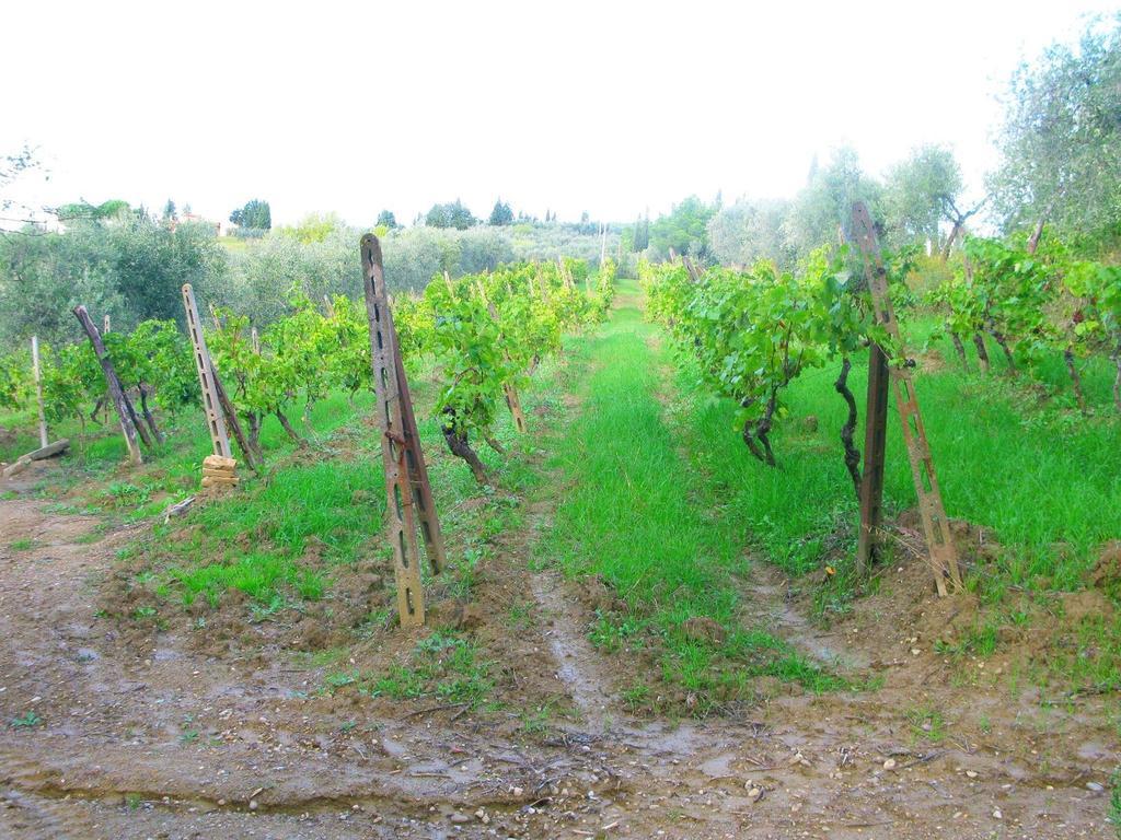 Agriturismo Martignana Alta Empoli Exterior photo