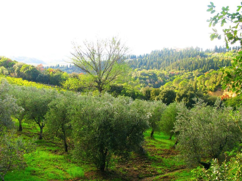 Agriturismo Martignana Alta Empoli Exterior photo